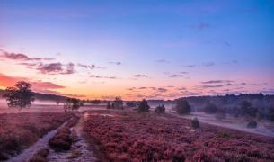 Moorlandschaft bei Sonnenaufgang