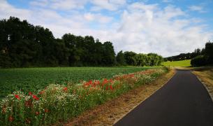 Naturpark Eichsfeld Thüringen