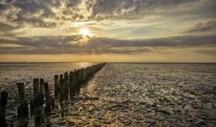 Dithmarschen, Nationalpark Wattenmeer Schleswig-Holstein