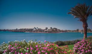 Palmen, Meer, Blumen El Gouna