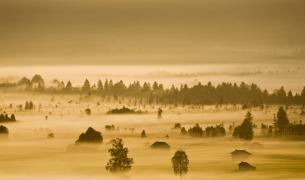 Murnauer Moos Oberbayern