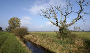 Naturschutzgebiet Werderland - Bremen Naturschutzgebiet Werderland Bremen