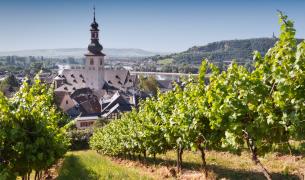 Stadt, Fluss, Kirche, Weinberg Rüdesheim