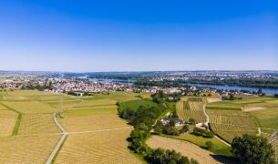 Geisenheim Rheingau