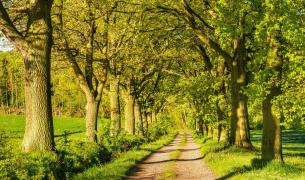 Reinhardswald Reinhardshausen