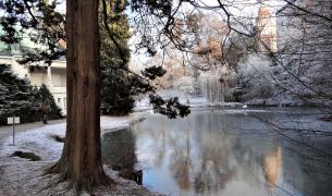 Kurpark Bad Wildungen