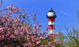 Blüten, Leuchtturm#Dieter_Schinner