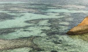 Seychellen-Korallenriff-Emotion_LVO