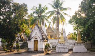 Kloster, Palme Luang Prabang