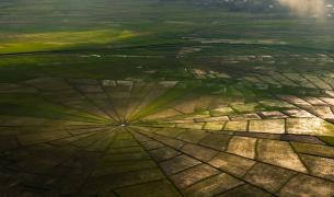 Spinnennetzförmiges Feld