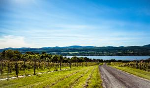 Wein, See, Berg Quebec