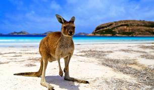 Cape Hillsborough Nationalpark Queensland