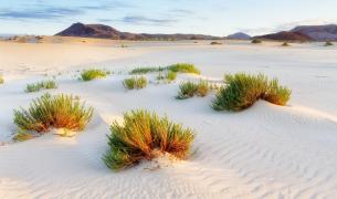Corralejo Fuerteventura