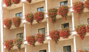 Jerusalem & Umgebung Jerusalem & Umgebung