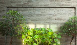 Motive Cottage Resort