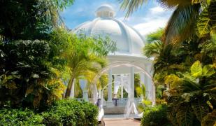 Dom. Republik - Osten (Punta Cana)