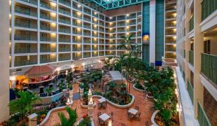 Sheraton Suites Fort Lauderdale at Cypress Creek