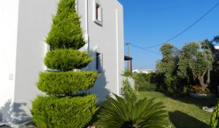 Triantafillas Apartments