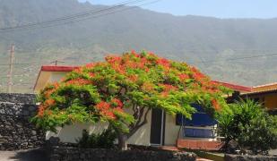 Frontera (El Hierro)