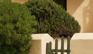 Doryssa Seaside Resort