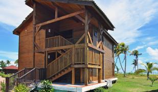 Starfish Cayo Guillermo