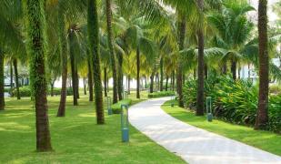 Phu Quoc Island Phu Quoc Island