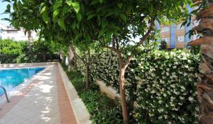 Royal Hill Royal Hill