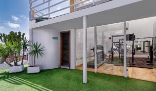 Bull Astoria Bull Astoria