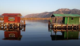 Dolphin Apart & Hotel