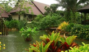 Insel Koh Chang (Klong Prao Beach) Insel Koh Chang (Klong Prao Beach)