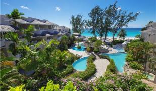 Bougainvillea Barbados Bougainvillea Barbados