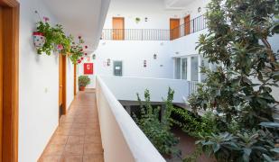 Oasis Atalaya Oasis Atalaya