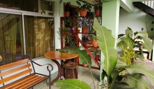 La Fortuna La Fortuna