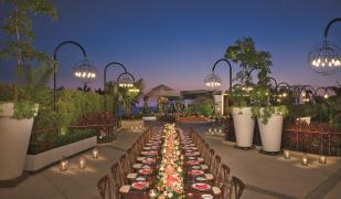 Dreams Vallarta Bay Resort & Spa Dreams Vallarta Bay Resort & Spa