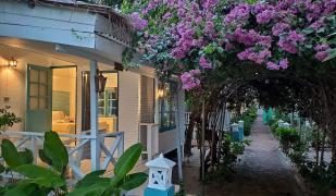 Sand Sea Resort Sand Sea Resort