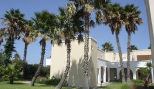 Andromeda Hotel Apartments