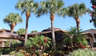 Rosen Inn at Pointe Orlando