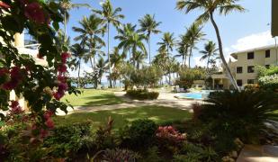 Cabarete Palm Beach Condos