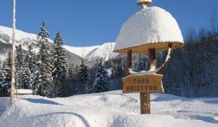 Martin & Kristýna Martin & Kristýna