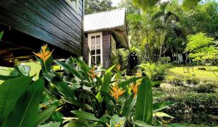Inseln im Golf von Thailand (Koh Chang, Koh P Inseln im Golf von Thailand (Koh Chang, Koh P