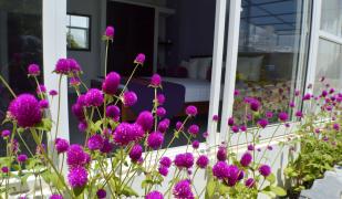 Villa Baywatch Rumassala