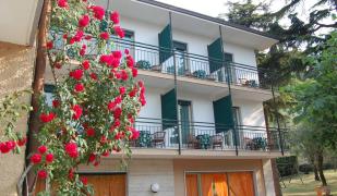 Stella Alpina Stella Alpina