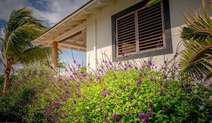 Windhoek Resort Bonaire Windhoek Resort Bonaire