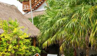 Deluxe Apartments Holbox