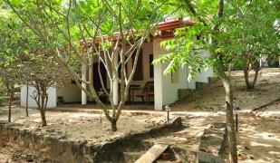 The Waves Holiday Chalets