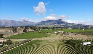 Klein Welmoed Luxury Guest House