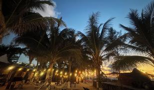 La Diosa Cali Holbox