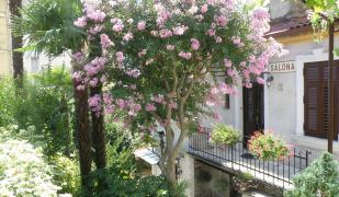 Apartments Villa Nola