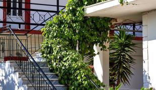 Seaside Hotel and Resort