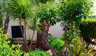 Villaggio Turistico Defensola Villaggio Turistico Defensola